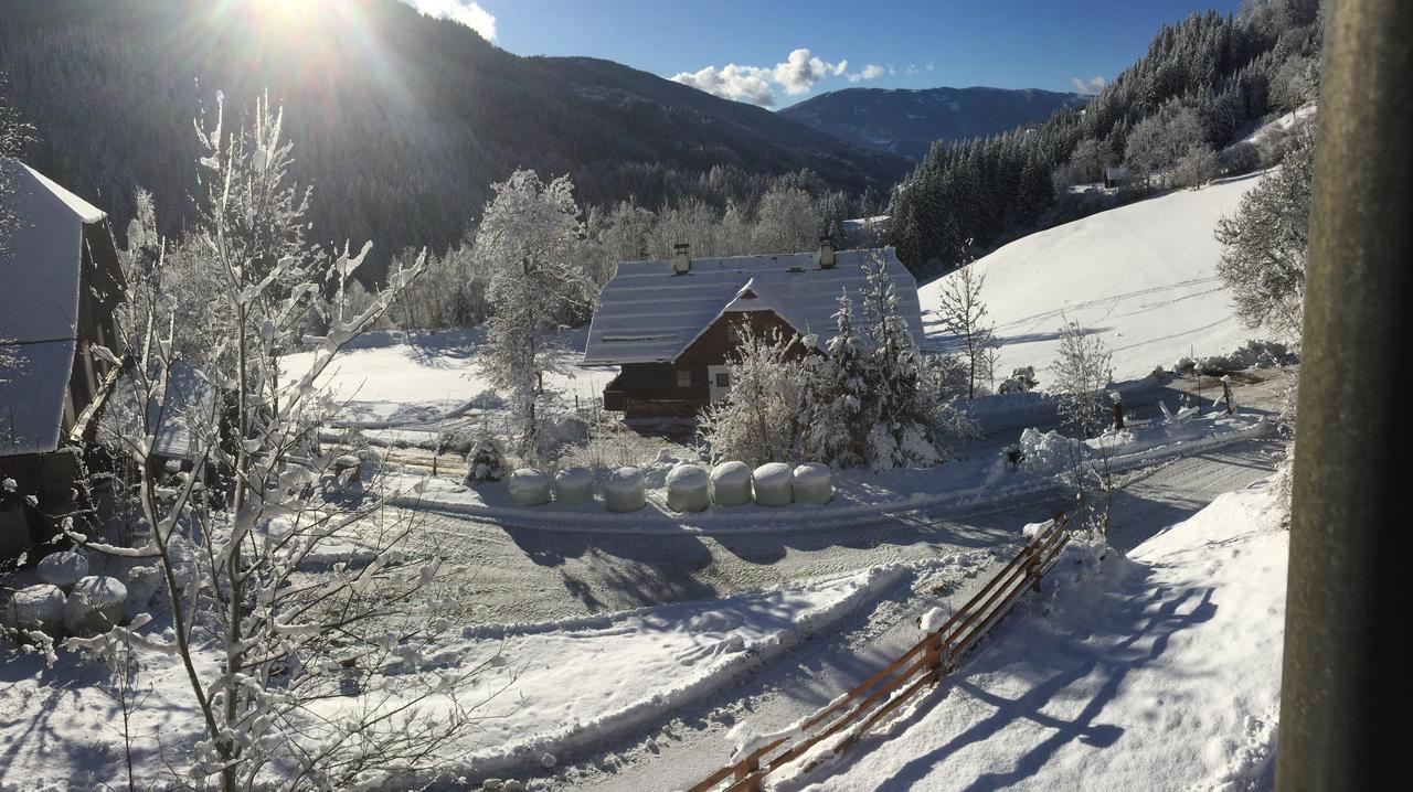 Grundnerhof Villa Arriach Exterior photo